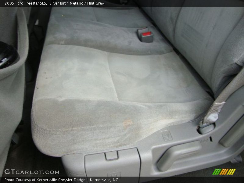 Silver Birch Metallic / Flint Grey 2005 Ford Freestar SES
