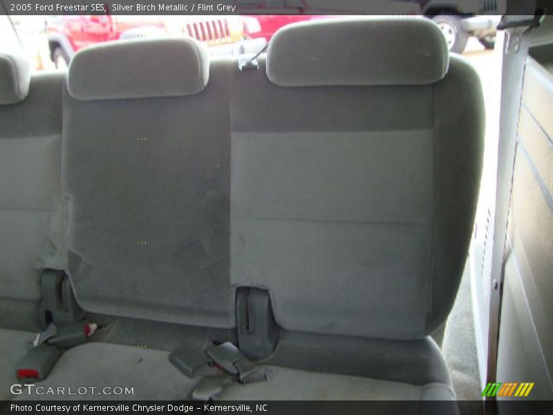 Silver Birch Metallic / Flint Grey 2005 Ford Freestar SES
