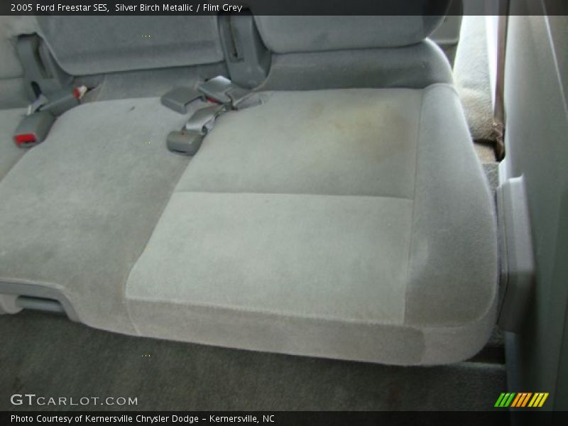 Silver Birch Metallic / Flint Grey 2005 Ford Freestar SES