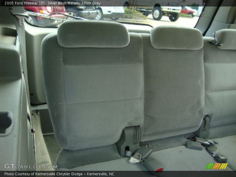 Silver Birch Metallic / Flint Grey 2005 Ford Freestar SES