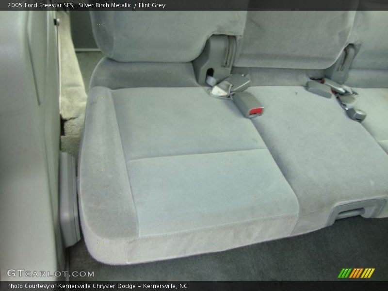 Silver Birch Metallic / Flint Grey 2005 Ford Freestar SES