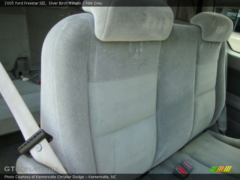 Silver Birch Metallic / Flint Grey 2005 Ford Freestar SES