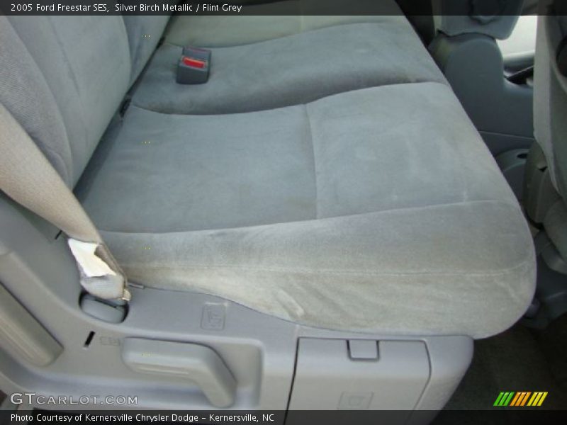 Silver Birch Metallic / Flint Grey 2005 Ford Freestar SES