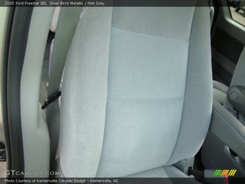 Silver Birch Metallic / Flint Grey 2005 Ford Freestar SES