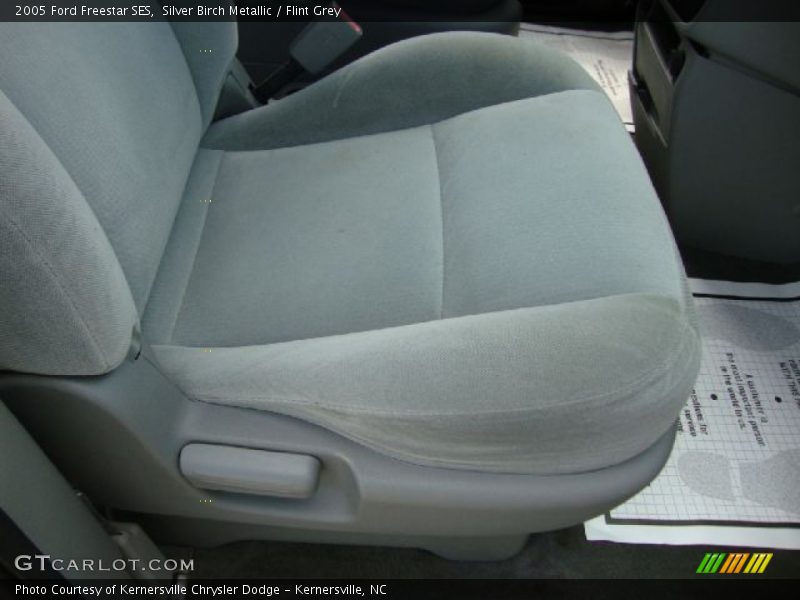 Silver Birch Metallic / Flint Grey 2005 Ford Freestar SES