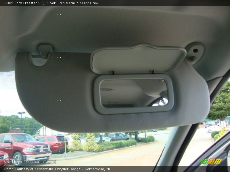 Silver Birch Metallic / Flint Grey 2005 Ford Freestar SES