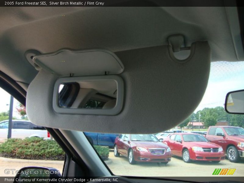 Silver Birch Metallic / Flint Grey 2005 Ford Freestar SES