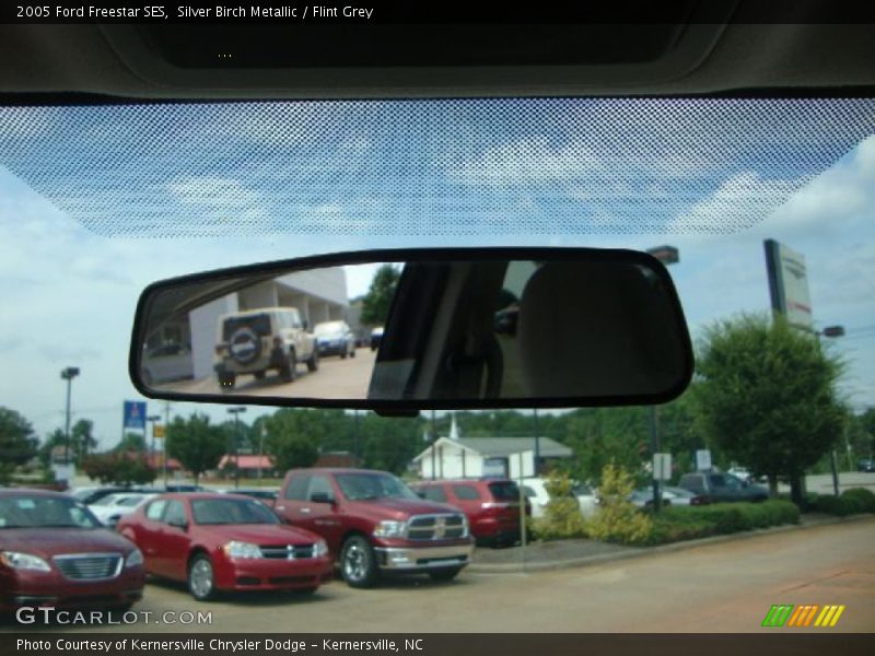 Silver Birch Metallic / Flint Grey 2005 Ford Freestar SES