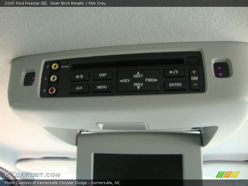 Silver Birch Metallic / Flint Grey 2005 Ford Freestar SES