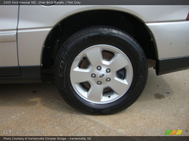 Silver Birch Metallic / Flint Grey 2005 Ford Freestar SES