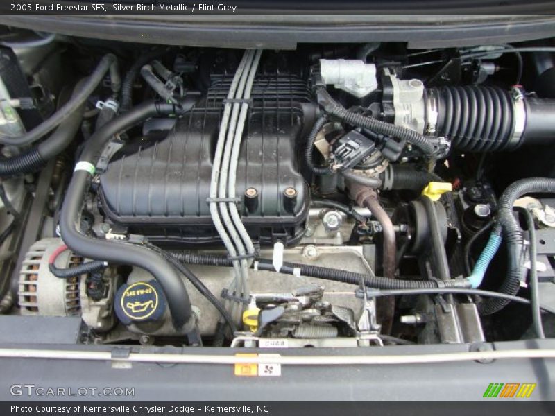 Silver Birch Metallic / Flint Grey 2005 Ford Freestar SES