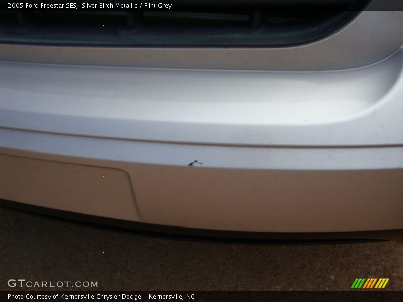 Silver Birch Metallic / Flint Grey 2005 Ford Freestar SES