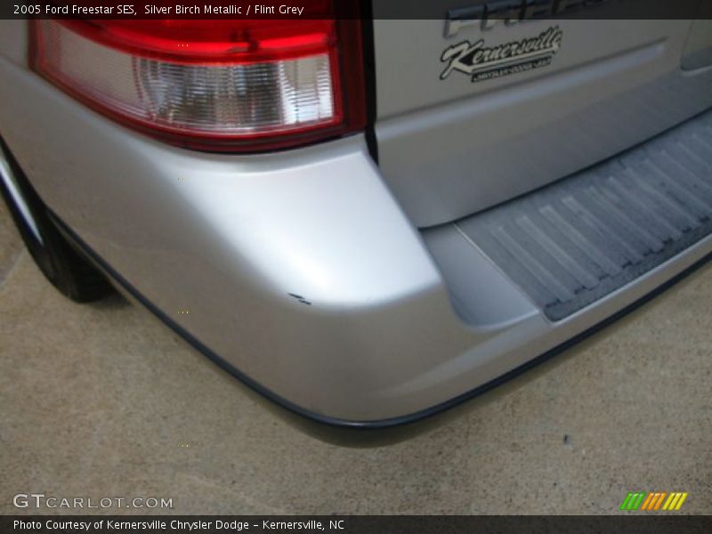 Silver Birch Metallic / Flint Grey 2005 Ford Freestar SES