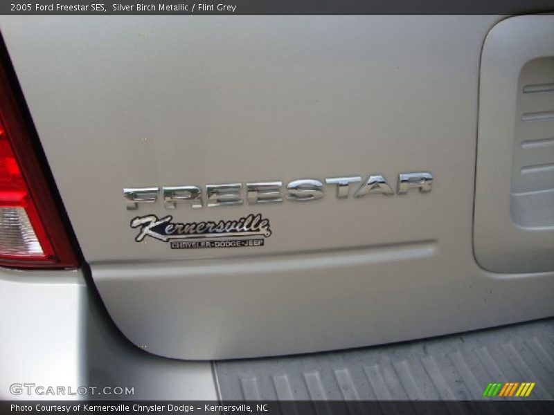 Silver Birch Metallic / Flint Grey 2005 Ford Freestar SES