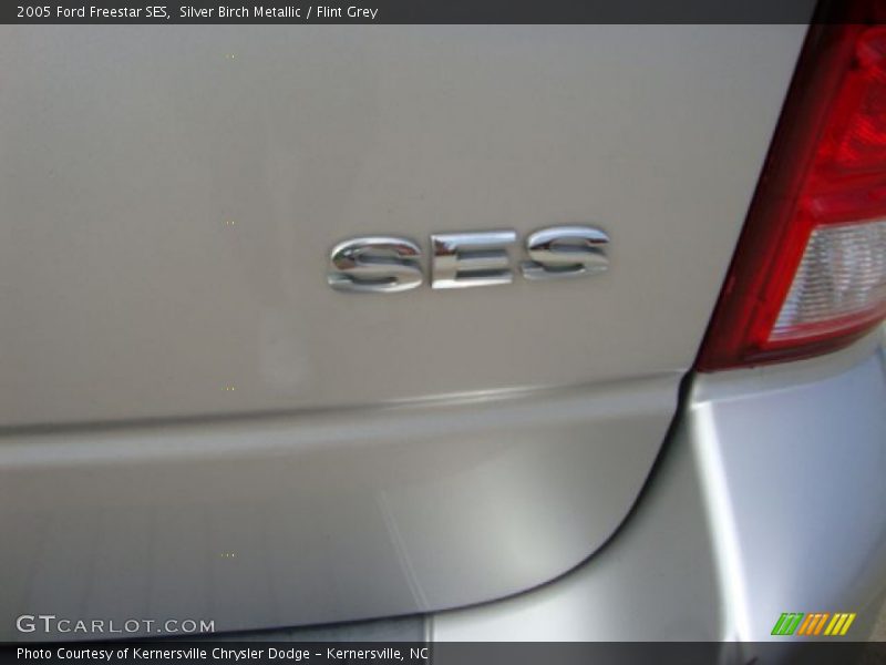 Silver Birch Metallic / Flint Grey 2005 Ford Freestar SES