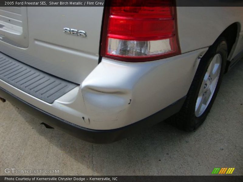 Silver Birch Metallic / Flint Grey 2005 Ford Freestar SES