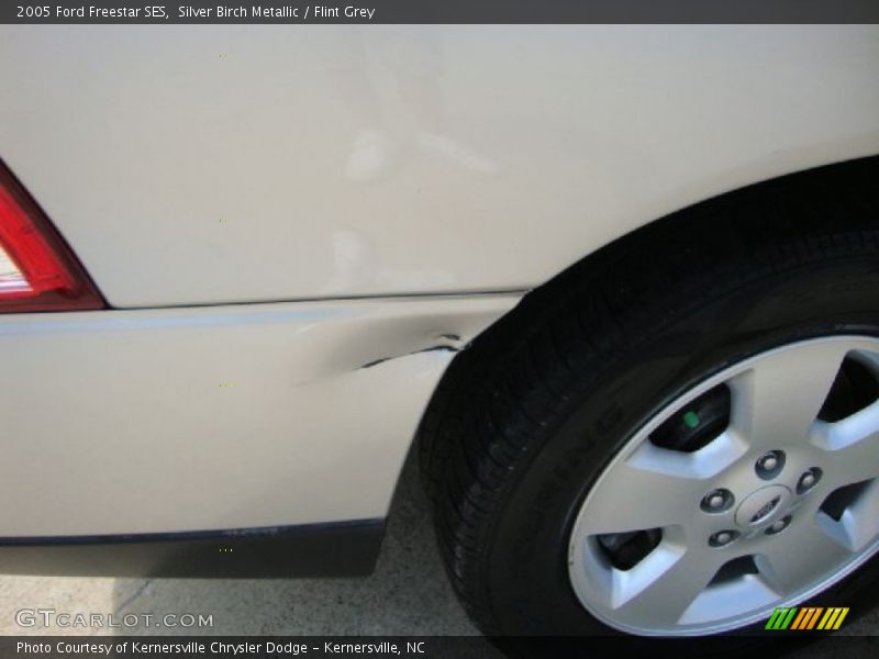 Silver Birch Metallic / Flint Grey 2005 Ford Freestar SES