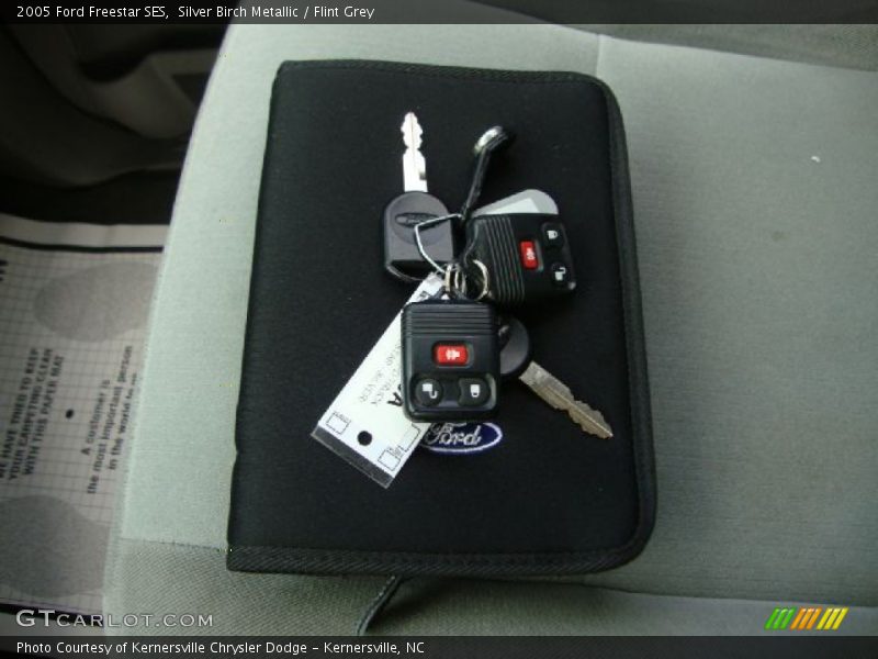 Silver Birch Metallic / Flint Grey 2005 Ford Freestar SES