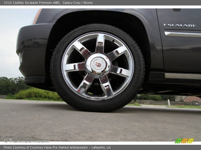 Galaxy Gray / Ebony 2010 Cadillac Escalade Premium AWD