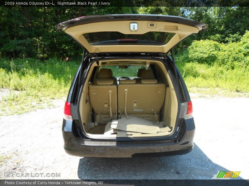 Nighthawk Black Pearl / Ivory 2009 Honda Odyssey EX-L