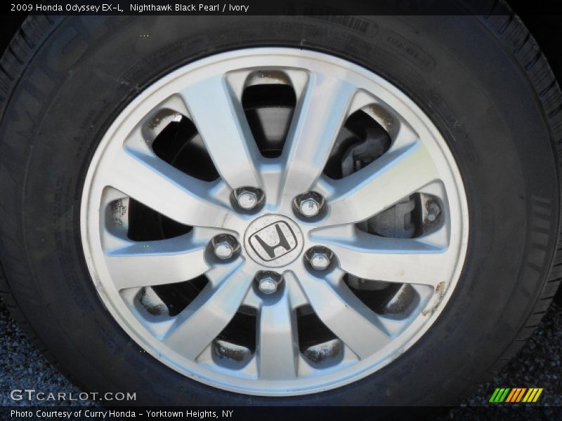 Nighthawk Black Pearl / Ivory 2009 Honda Odyssey EX-L