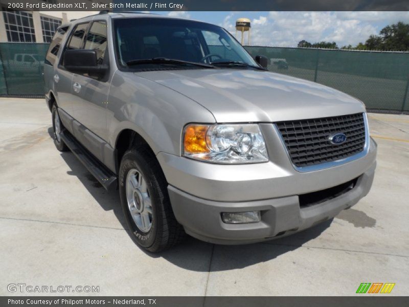 Silver Birch Metallic / Flint Grey 2003 Ford Expedition XLT