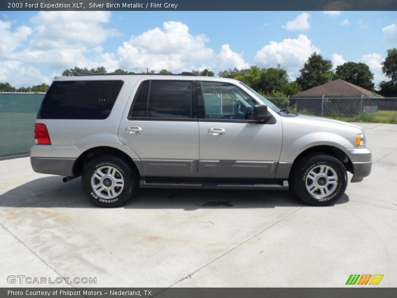  2003 Expedition XLT Silver Birch Metallic