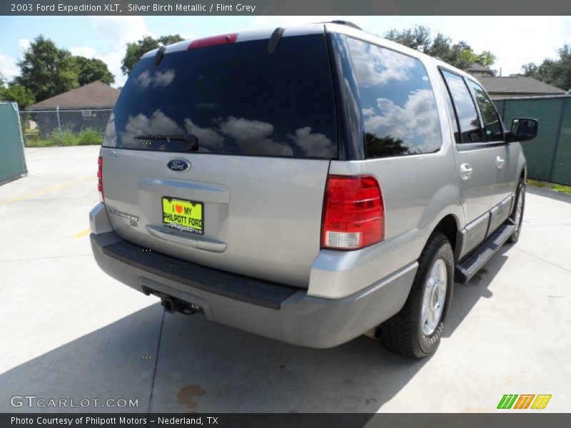 Silver Birch Metallic / Flint Grey 2003 Ford Expedition XLT