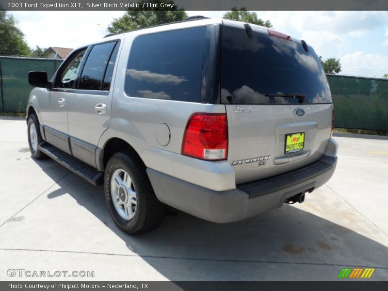 Silver Birch Metallic / Flint Grey 2003 Ford Expedition XLT