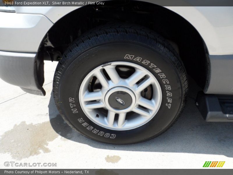 Silver Birch Metallic / Flint Grey 2003 Ford Expedition XLT