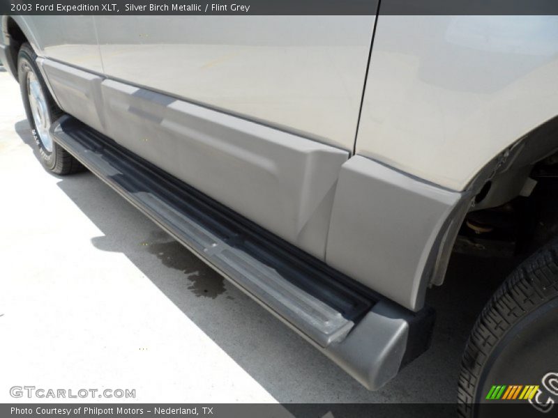 Silver Birch Metallic / Flint Grey 2003 Ford Expedition XLT