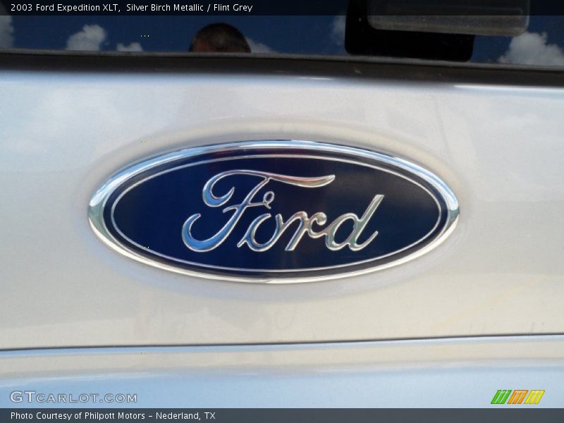 Silver Birch Metallic / Flint Grey 2003 Ford Expedition XLT