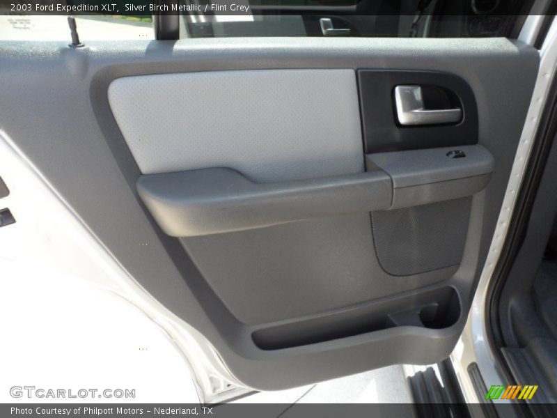 Silver Birch Metallic / Flint Grey 2003 Ford Expedition XLT