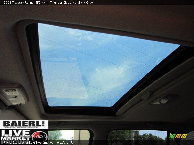 Thunder Cloud Metallic / Gray 2002 Toyota 4Runner SR5 4x4