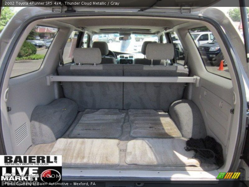 Thunder Cloud Metallic / Gray 2002 Toyota 4Runner SR5 4x4