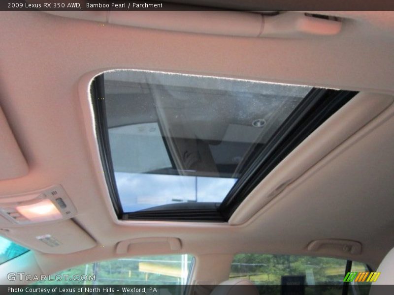 Bamboo Pearl / Parchment 2009 Lexus RX 350 AWD