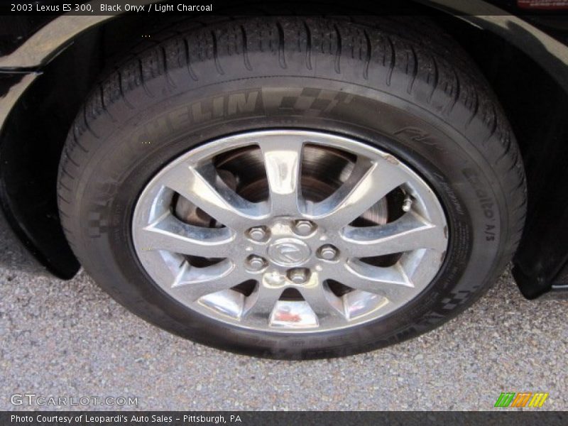 Black Onyx / Light Charcoal 2003 Lexus ES 300