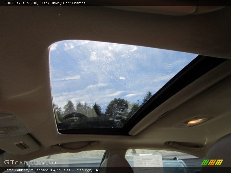 Black Onyx / Light Charcoal 2003 Lexus ES 300