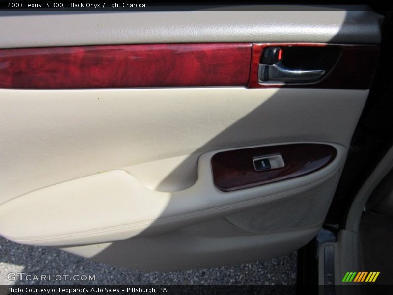 Black Onyx / Light Charcoal 2003 Lexus ES 300