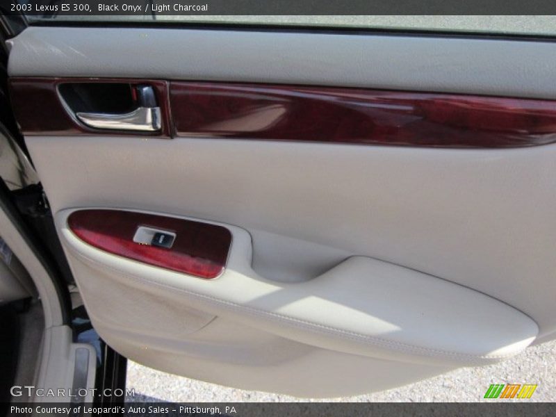 Black Onyx / Light Charcoal 2003 Lexus ES 300