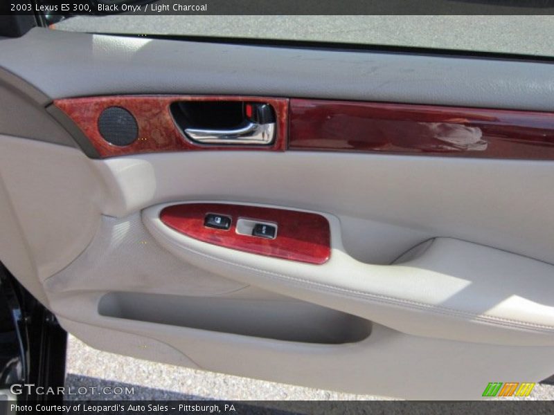 Black Onyx / Light Charcoal 2003 Lexus ES 300