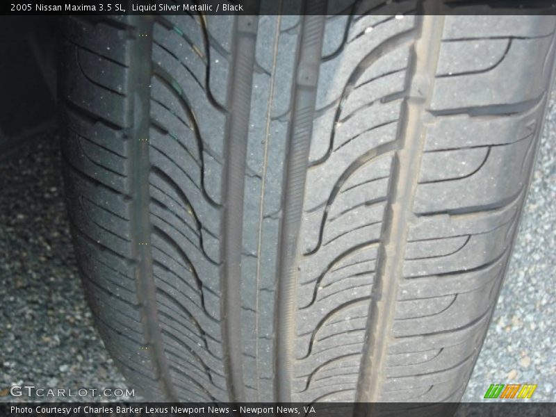 Liquid Silver Metallic / Black 2005 Nissan Maxima 3.5 SL