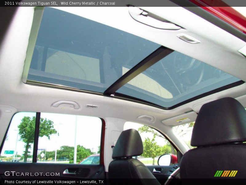 Wild Cherry Metallic / Charcoal 2011 Volkswagen Tiguan SEL