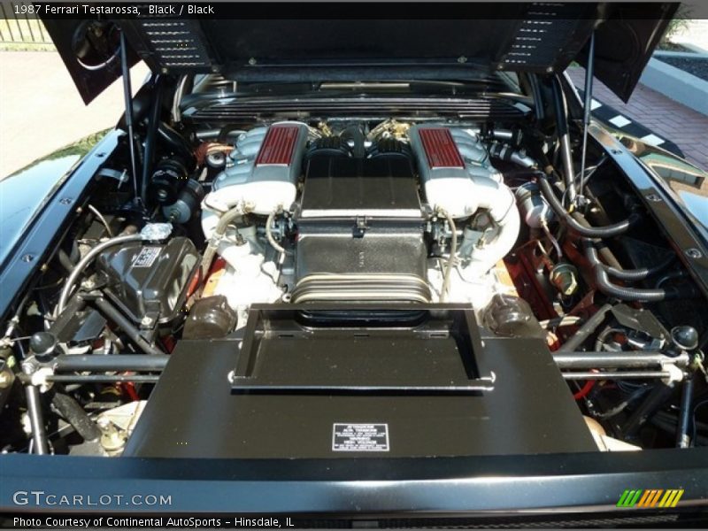  1987 Testarossa  Engine - 4.9 Liter DOHC 48-Valve Flat 12 Cylinder