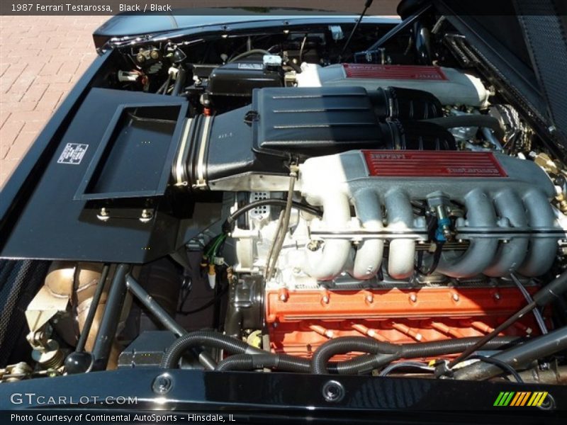  1987 Testarossa  Engine - 4.9 Liter DOHC 48-Valve Flat 12 Cylinder