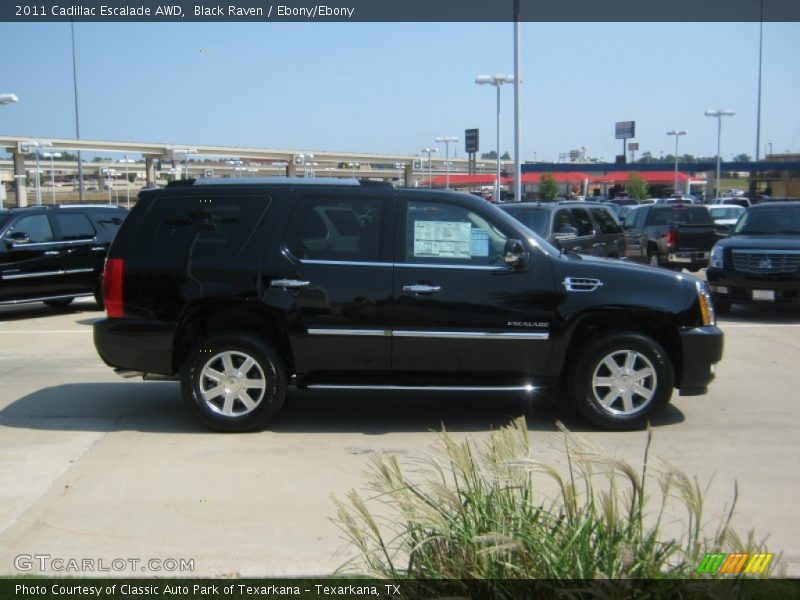 Black Raven / Ebony/Ebony 2011 Cadillac Escalade AWD