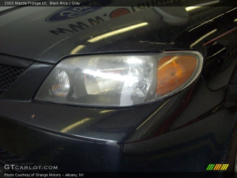 Black Mica / Gray 2003 Mazda Protege LX