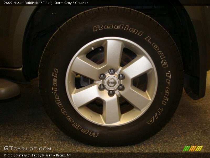 Storm Gray / Graphite 2009 Nissan Pathfinder SE 4x4