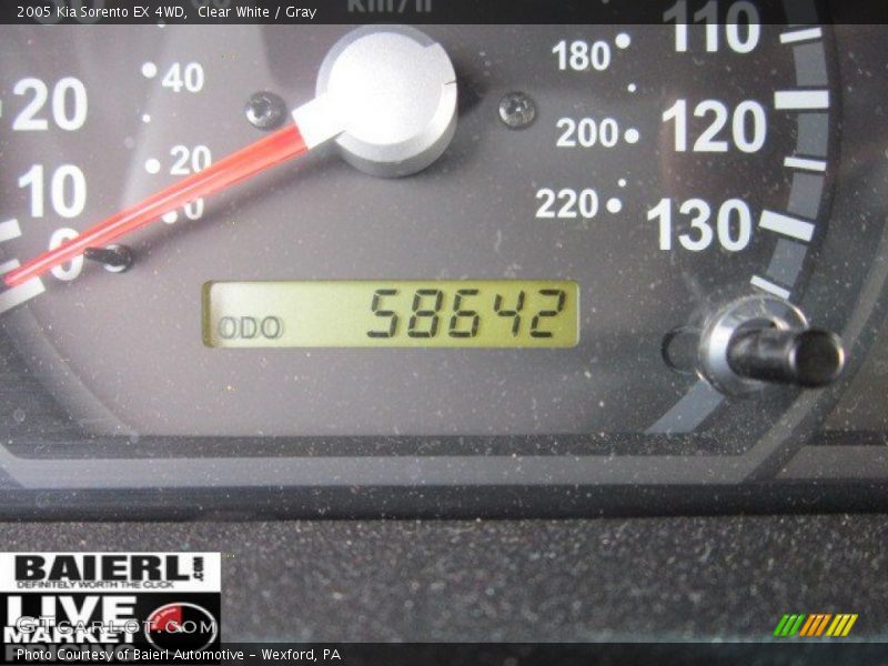 Clear White / Gray 2005 Kia Sorento EX 4WD