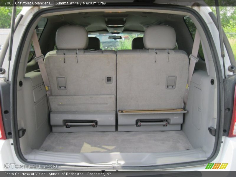 Summit White / Medium Gray 2005 Chevrolet Uplander LS
